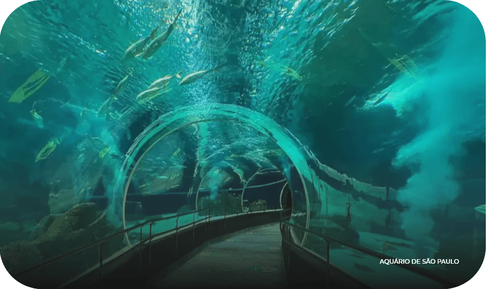 aquario (1)